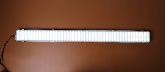 110 Lm/W LEDの三証拠ライト50W 5ft蒸気は堅く照明設備を導きました